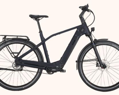 145 кг грузоподьемность и привод Pinion MGU. Немецкий производитель выпустил горный велосипед Pinniato HT Speed